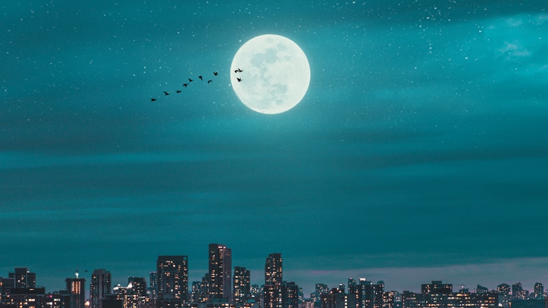 100万ドルの夜景の元ネタとは？言葉の由来・使われる理由・代表的な夜景スポットをやさしく解説